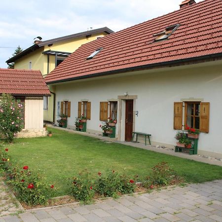 Sleeping In Village Svecina Exterior foto