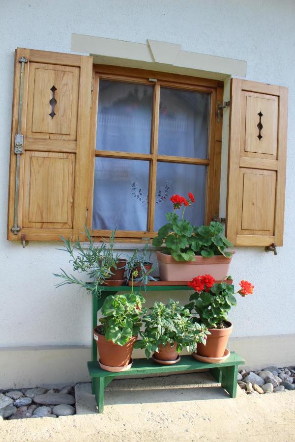 Sleeping In Village Svecina Exterior foto